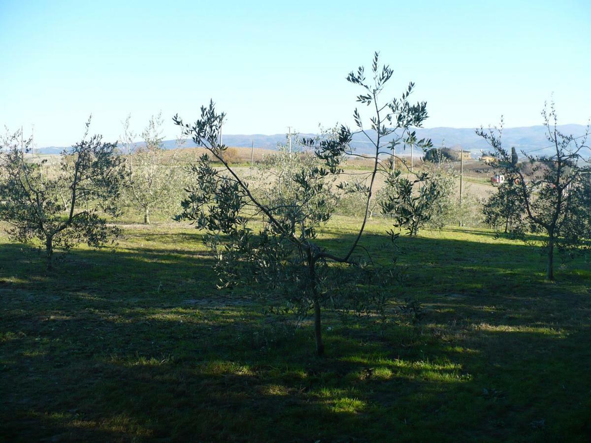 La Casina Appartement Rosignano Marittimo Buitenkant foto